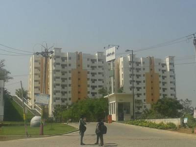 listing-img