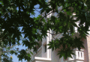 listing-img