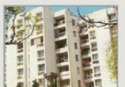 project-img