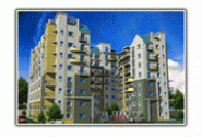 project-img