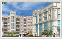project-img